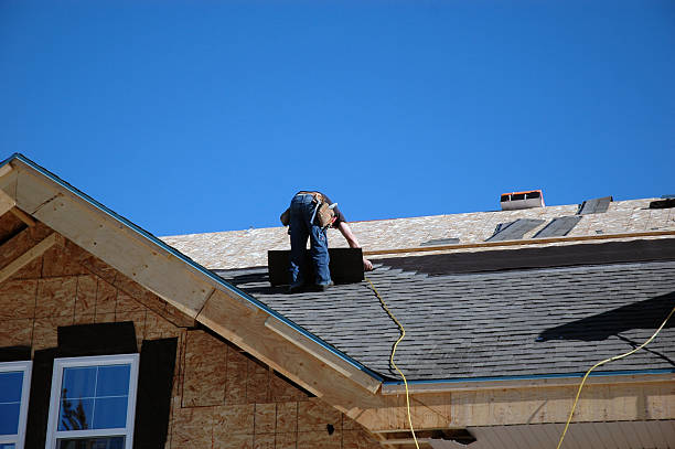 Best Storm Damage Roof Repair  in Foley, AL